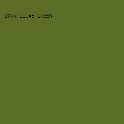 5B6E25 - Dark Olive Green color image preview