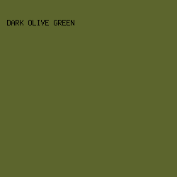 5C652D - Dark Olive Green color image preview
