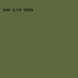 5D6840 - Dark Olive Green color image preview