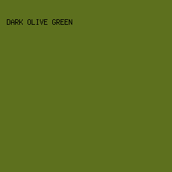 5D701E - Dark Olive Green color image preview