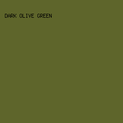 5E652B - Dark Olive Green color image preview