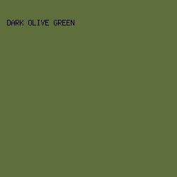 5F6F3C - Dark Olive Green color image preview