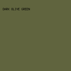 60643e - Dark Olive Green color image preview