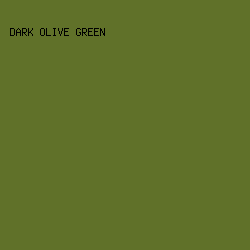 607129 - Dark Olive Green color image preview