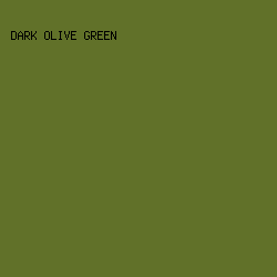 617129 - Dark Olive Green color image preview