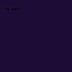 1D0D37 - Dark Purple color image preview