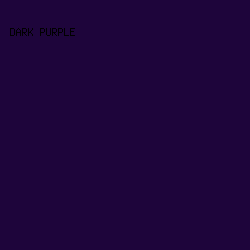 1E053B - Dark Purple color image preview