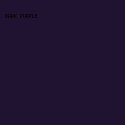 1F1331 - Dark Purple color image preview
