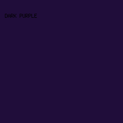 200D3A - Dark Purple color image preview