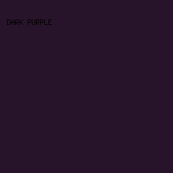 28142a - Dark Purple color image preview