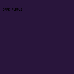 29153C - Dark Purple color image preview