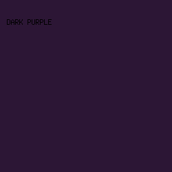 2C1635 - Dark Purple color image preview