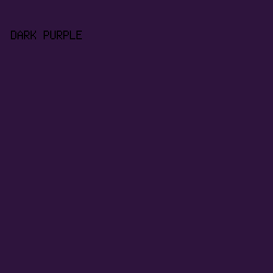 2E143D - Dark Purple color image preview