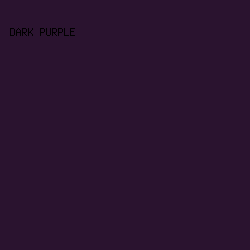 2a132f - Dark Purple color image preview