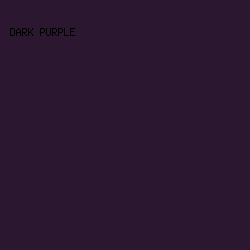 2c1730 - Dark Purple color image preview