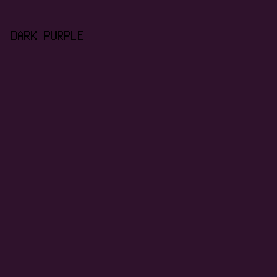 2f122c - Dark Purple color image preview