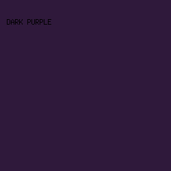 2f193b - Dark Purple color image preview