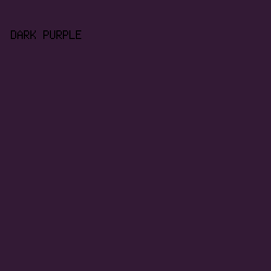 331a35 - Dark Purple color image preview
