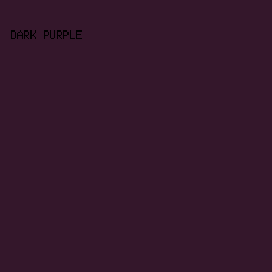 34172b - Dark Purple color image preview