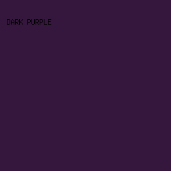 35173d - Dark Purple color image preview