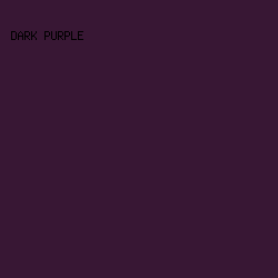 381734 - Dark Purple color image preview