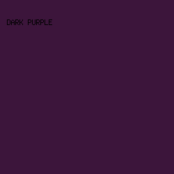 3C153B - Dark Purple color image preview