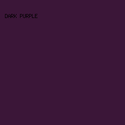 3b1638 - Dark Purple color image preview