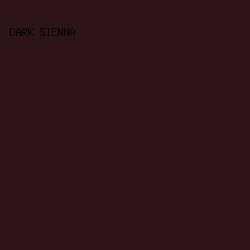 2D1418 - Dark Sienna color image preview