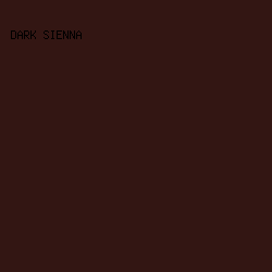 331613 - Dark Sienna color image preview