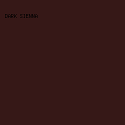 361817 - Dark Sienna color image preview