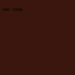 3A160E - Dark Sienna color image preview