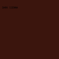 3B150D - Dark Sienna color image preview