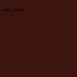 3c150e - Dark Sienna color image preview