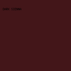 431619 - Dark Sienna color image preview