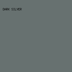 677170 - Dark Silver color image preview