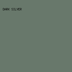 68786b - Dark Silver color image preview