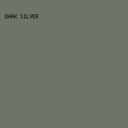 6F7468 - Dark Silver color image preview
