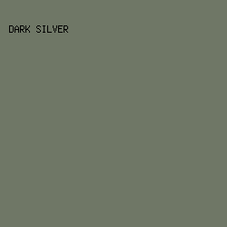 6F7766 - Dark Silver color image preview