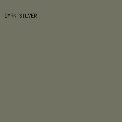 717262 - Dark Silver color image preview