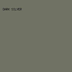 717364 - Dark Silver color image preview
