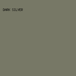 777866 - Dark Silver color image preview
