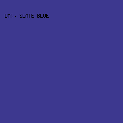 3D388F - Dark Slate Blue color image preview