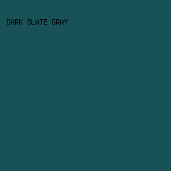 185256 - Dark Slate Gray color image preview