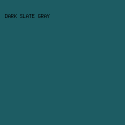 1D5C63 - Dark Slate Gray color image preview