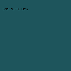 1E555C - Dark Slate Gray color image preview