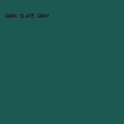 1b5952 - Dark Slate Gray color image preview