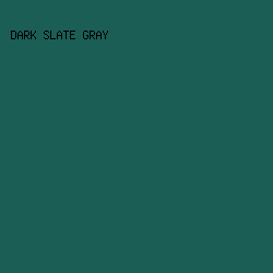 1b5e56 - Dark Slate Gray color image preview