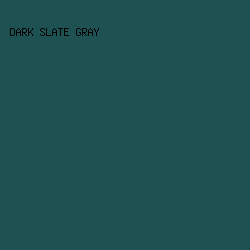 1e5152 - Dark Slate Gray color image preview