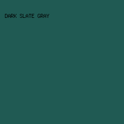205a53 - Dark Slate Gray color image preview