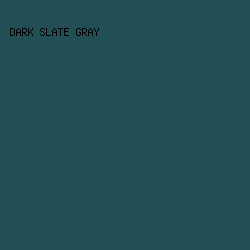 224f55 - Dark Slate Gray color image preview